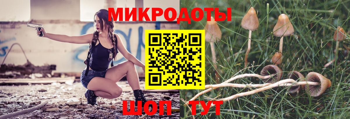 Галлюциногенные грибы прущие грибы  купить наркотик  Мурино  Вход с VPN 